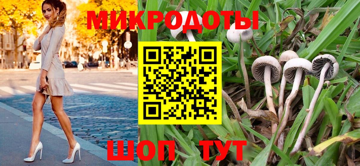 Псилоцибиновые грибы прущие грибы Минусинск