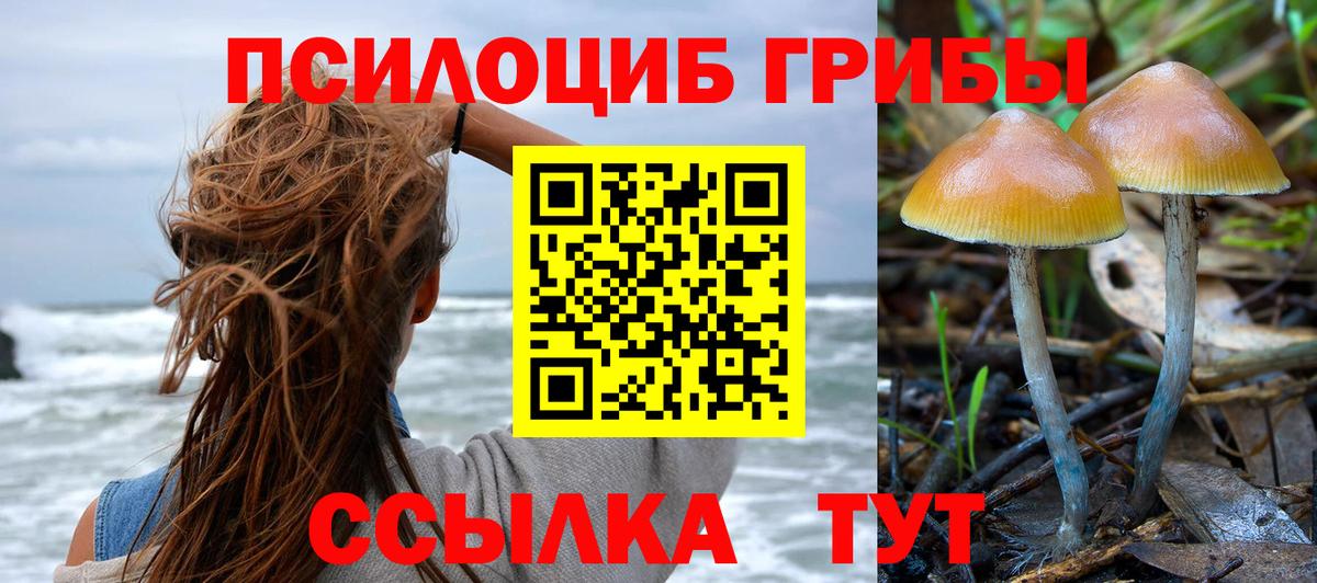 Псилоцибиновые грибы Psilocybe  Галлюциногенные грибы Magic Shrooms  Минусинск  Вход с VPN 
